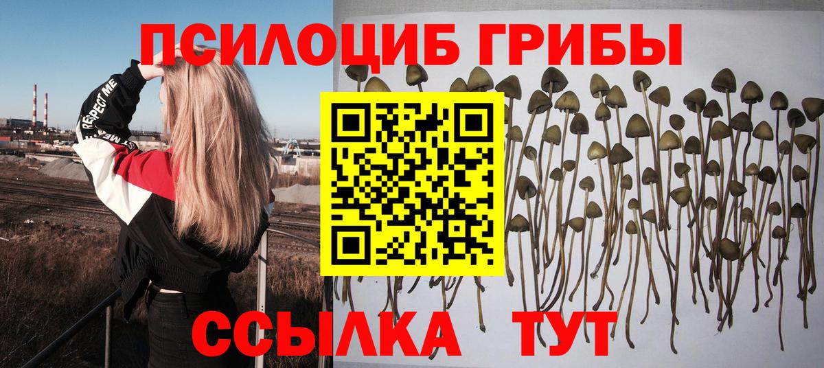 Псилоцибиновые грибы прущие грибы Каменка