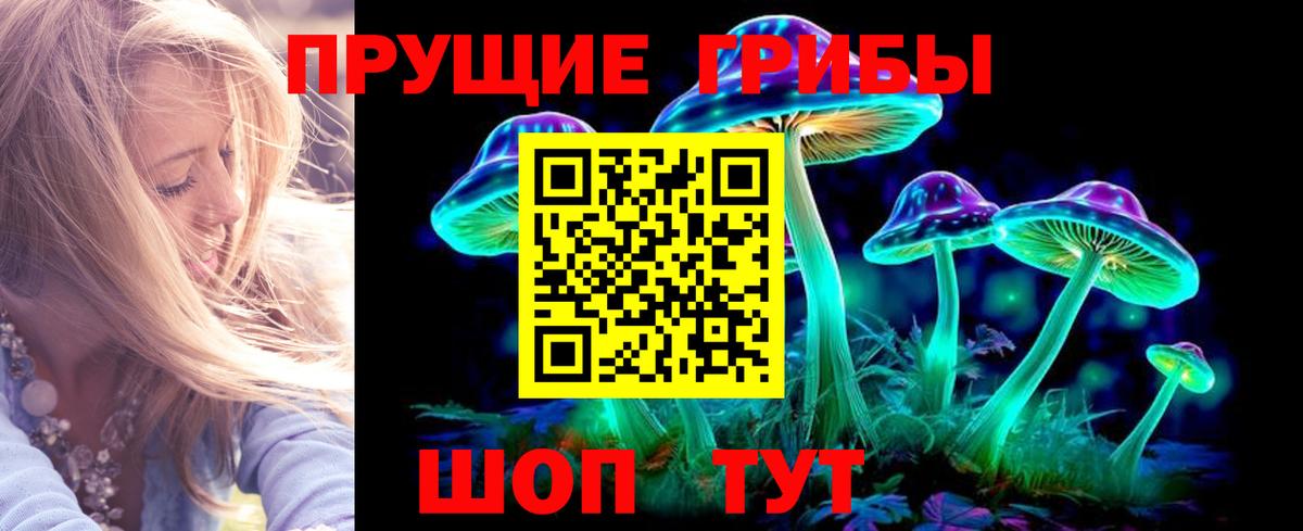 сколько стоит  Псилоцибиновые грибы ЛСД  Вход с VPN  Каменка 